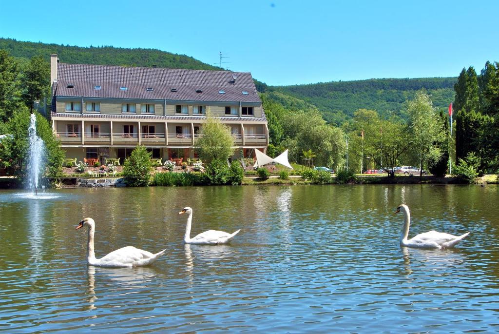 Hotel Du Lac Гебвиллер Экстерьер фото